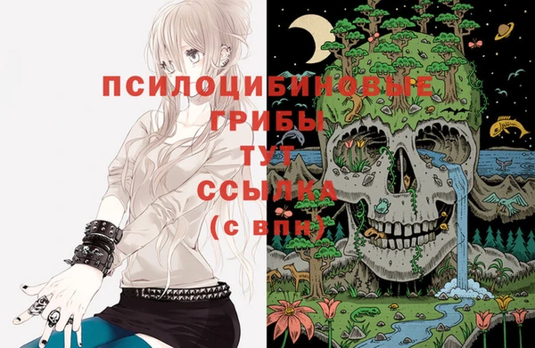 стафф Белокуриха